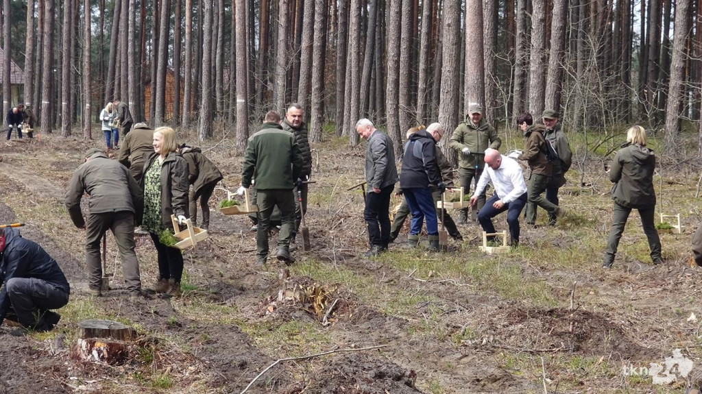 Zasadzili las Jana Pawła II tuż za Końskimi [wideo, zdjęcia]