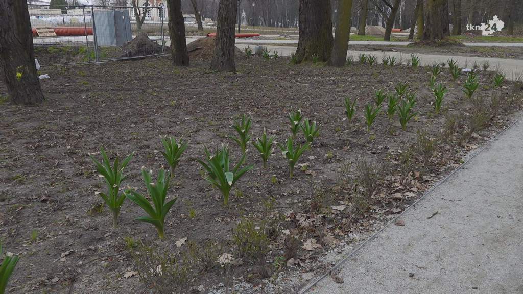 Konecki Park na ostatniej prostej modernizacji. Zobaczcie jak się zmienia [wideo, zdjęcia]
