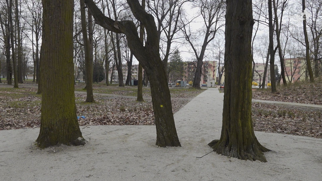 Konecki Park na ostatniej prostej modernizacji. Zobaczcie jak się zmienia [wideo, zdjęcia]