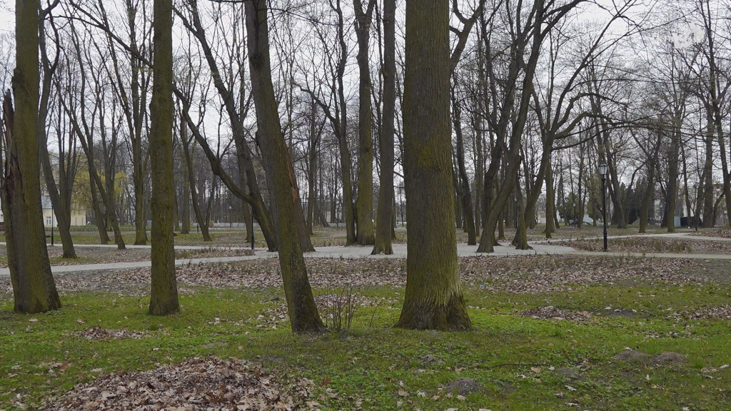 Konecki Park na ostatniej prostej modernizacji. Zobaczcie jak się zmienia [wideo, zdjęcia]
