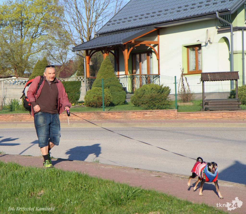 Piekielna trasa przez powiat konecki! Ponad 230 osób ukończyło maraton [fotorelacja]