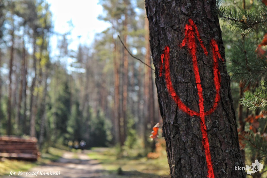 Piekielna trasa przez powiat konecki! Ponad 230 osób ukończyło maraton [fotorelacja]