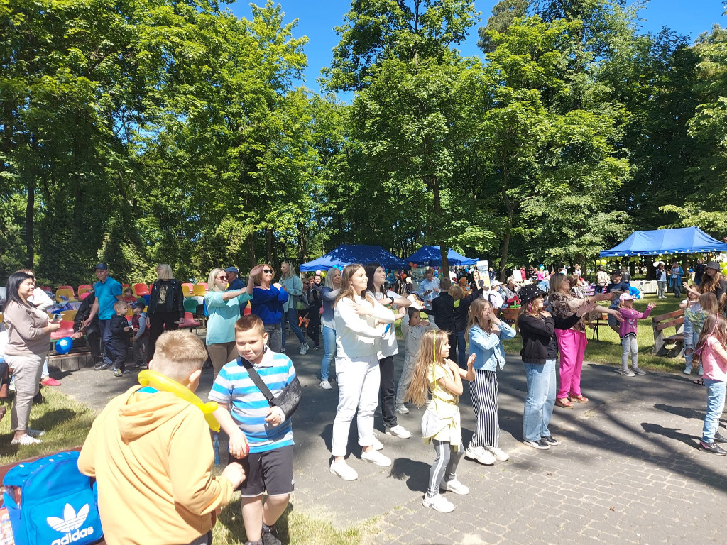 Powiatowe Konto Pomocy z festynem dla dzieci [zdjęcia]