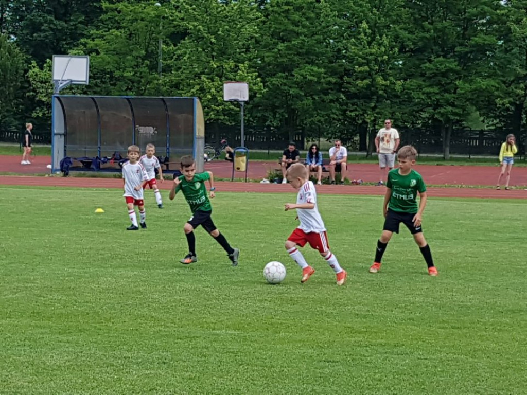 Radoszyce Summer Cup. Najmłodsi piłkarzy rywalizowali na murawie [zdjęcia]