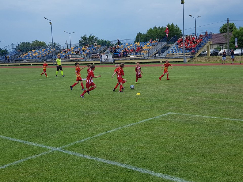 Radoszyce Summer Cup. Najmłodsi piłkarzy rywalizowali na murawie [zdjęcia]