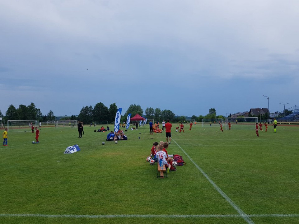 Radoszyce Summer Cup. Najmłodsi piłkarzy rywalizowali na murawie [zdjęcia]