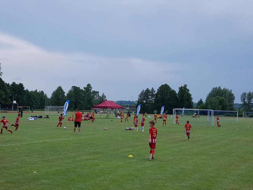 Radoszyce Summer Cup. Najmłodsi piłkarzy rywalizowali na murawie [zdjęcia]