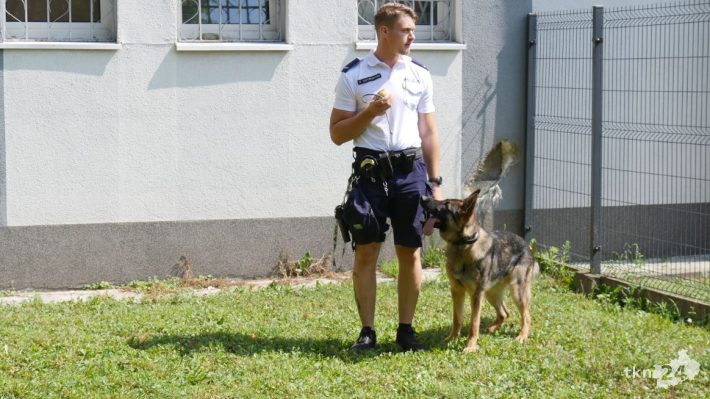 Poznajcie Lokiego - nowego czworonożnego funkcjonariusza w koneckiej policji [wideo, zdjęcia]