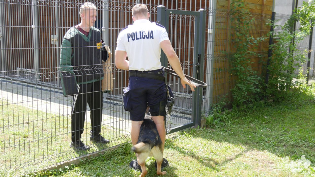 Poznajcie Lokiego - nowego czworonożnego funkcjonariusza w koneckiej policji [wideo, zdjęcia]