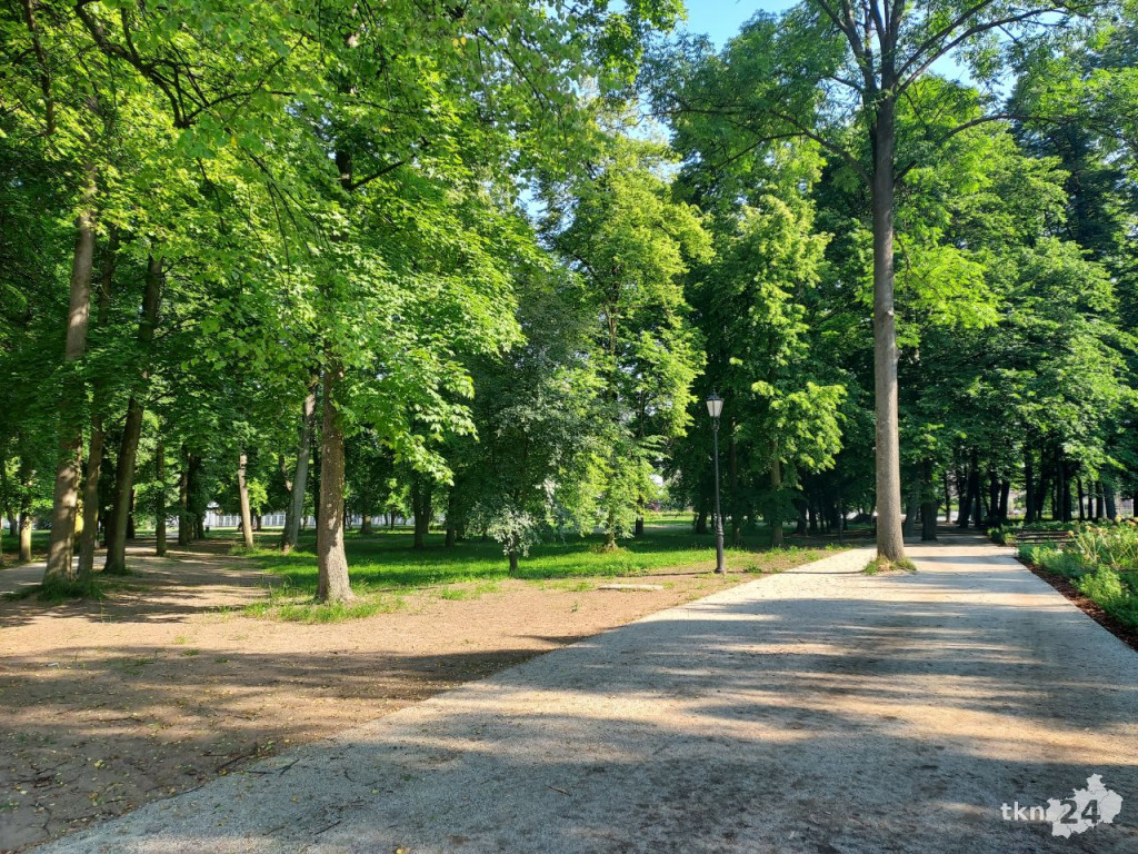 Park w Końskich pięknieje! Jest już monitoring [wideo, zdjęcia]