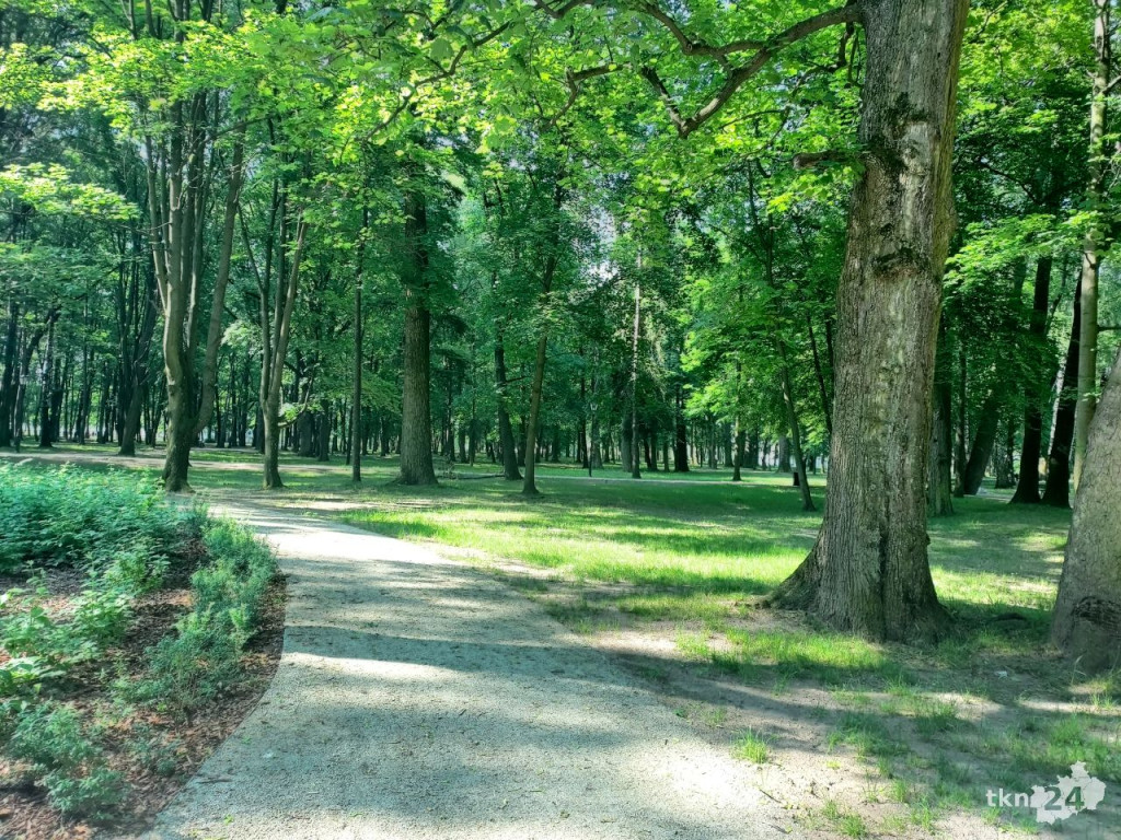 Park w Końskich pięknieje! Jest już monitoring [wideo, zdjęcia]