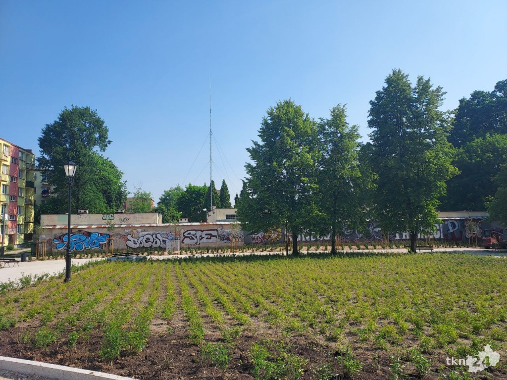 Park w Końskich pięknieje! Jest już monitoring [wideo, zdjęcia]
