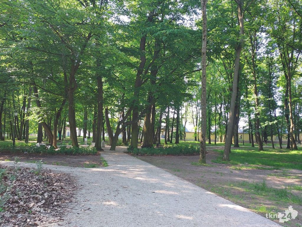 Park w Końskich pięknieje! Jest już monitoring [wideo, zdjęcia]