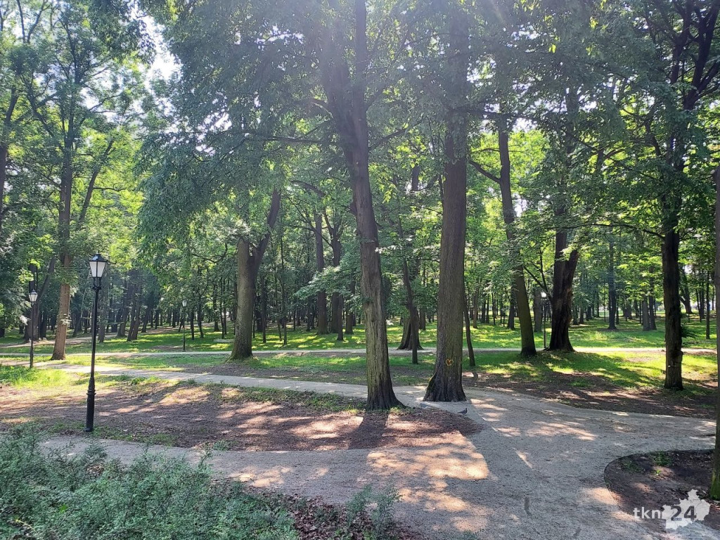 Park w Końskich pięknieje! Jest już monitoring [wideo, zdjęcia]