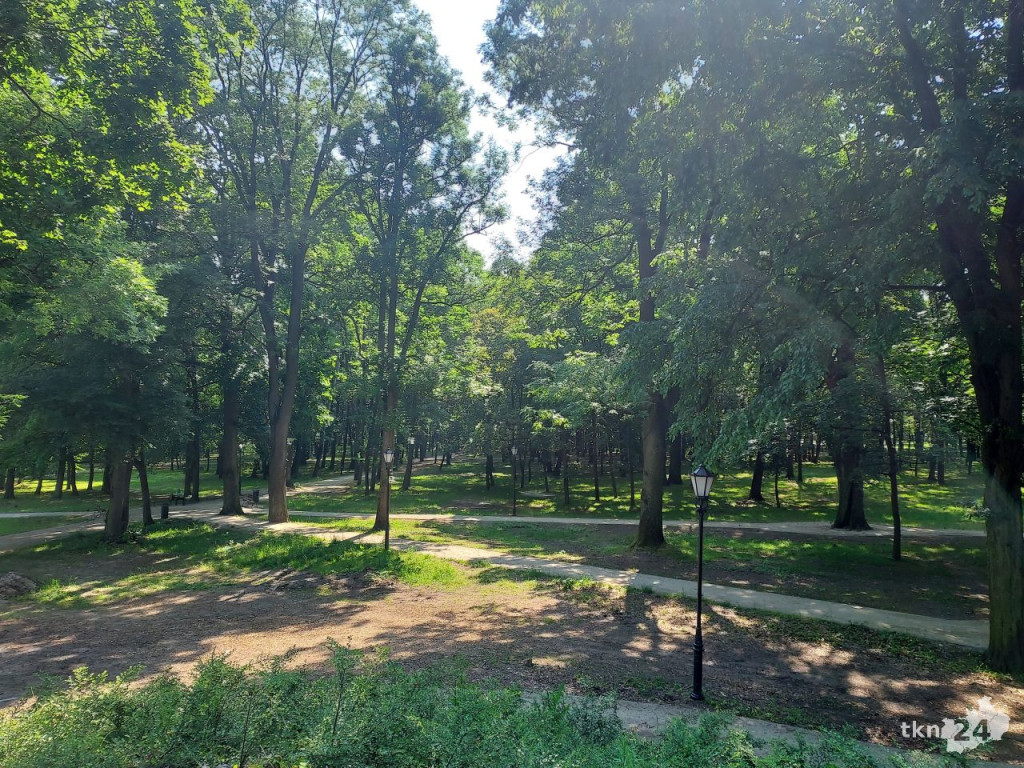Park w Końskich pięknieje! Jest już monitoring [wideo, zdjęcia]