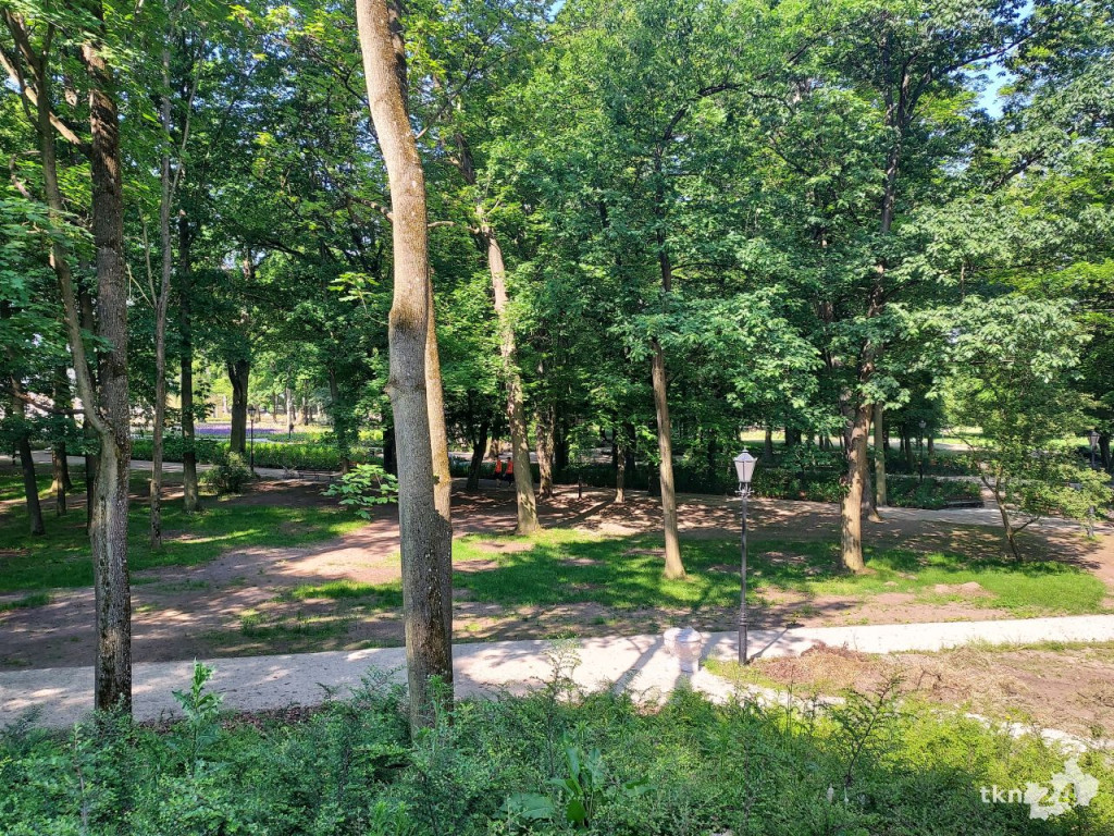 Park w Końskich pięknieje! Jest już monitoring [wideo, zdjęcia]