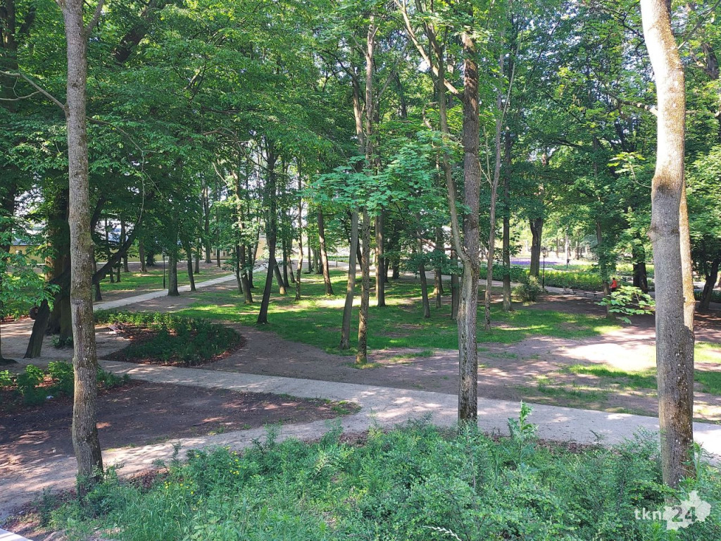 Park w Końskich pięknieje! Jest już monitoring [wideo, zdjęcia]