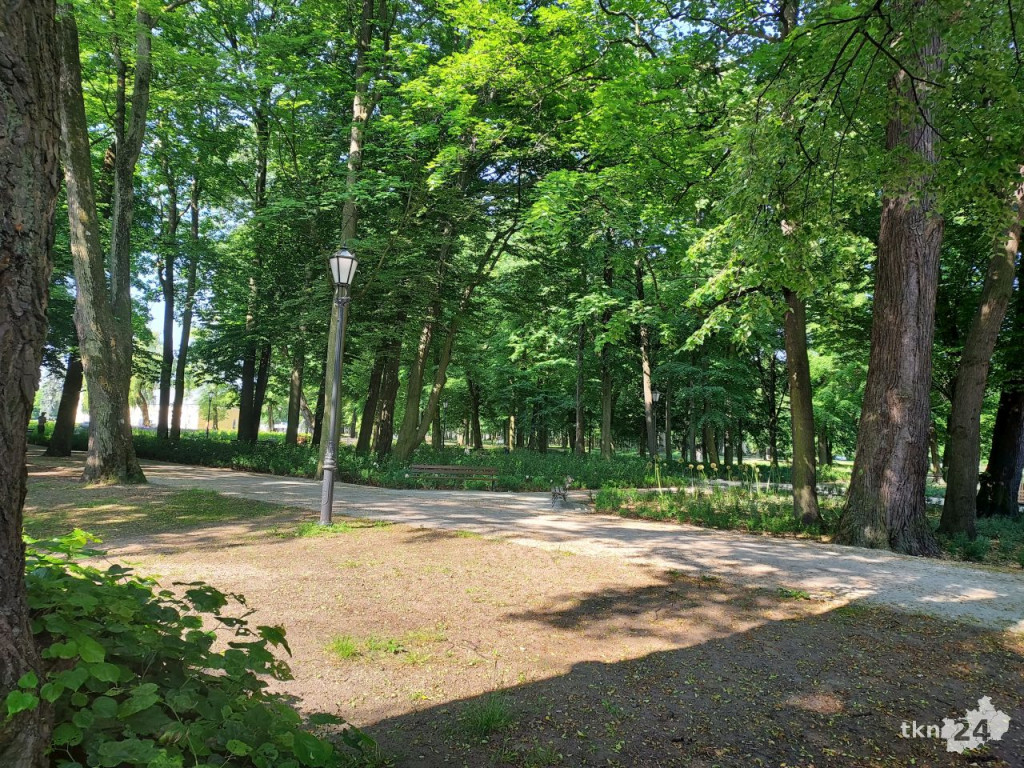 Park w Końskich pięknieje! Jest już monitoring [wideo, zdjęcia]