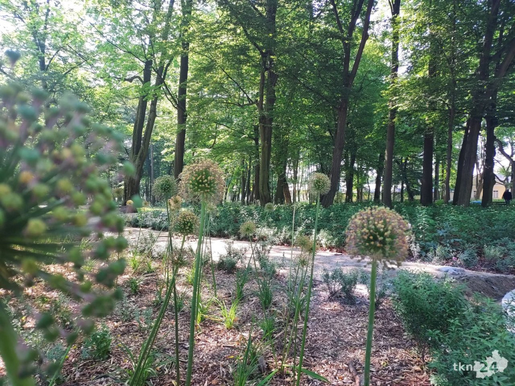 Park w Końskich pięknieje! Jest już monitoring [wideo, zdjęcia]