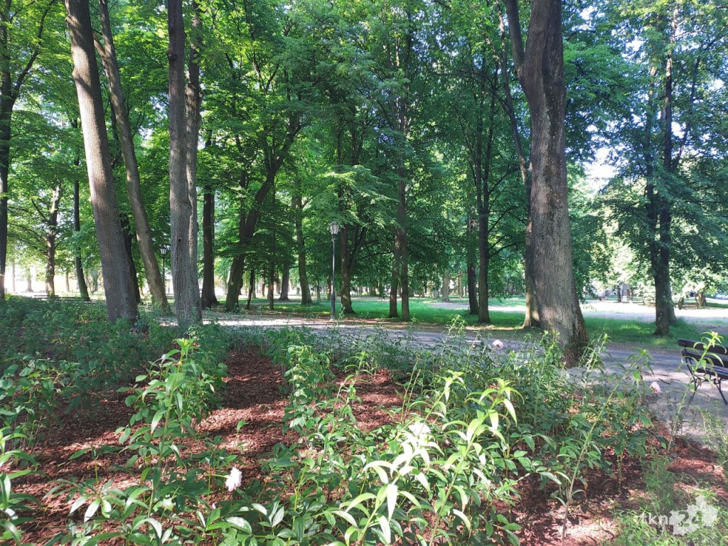 Park w Końskich pięknieje! Jest już monitoring [wideo, zdjęcia]
