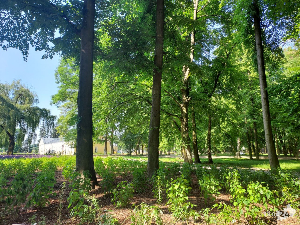 Park w Końskich pięknieje! Jest już monitoring [wideo, zdjęcia]