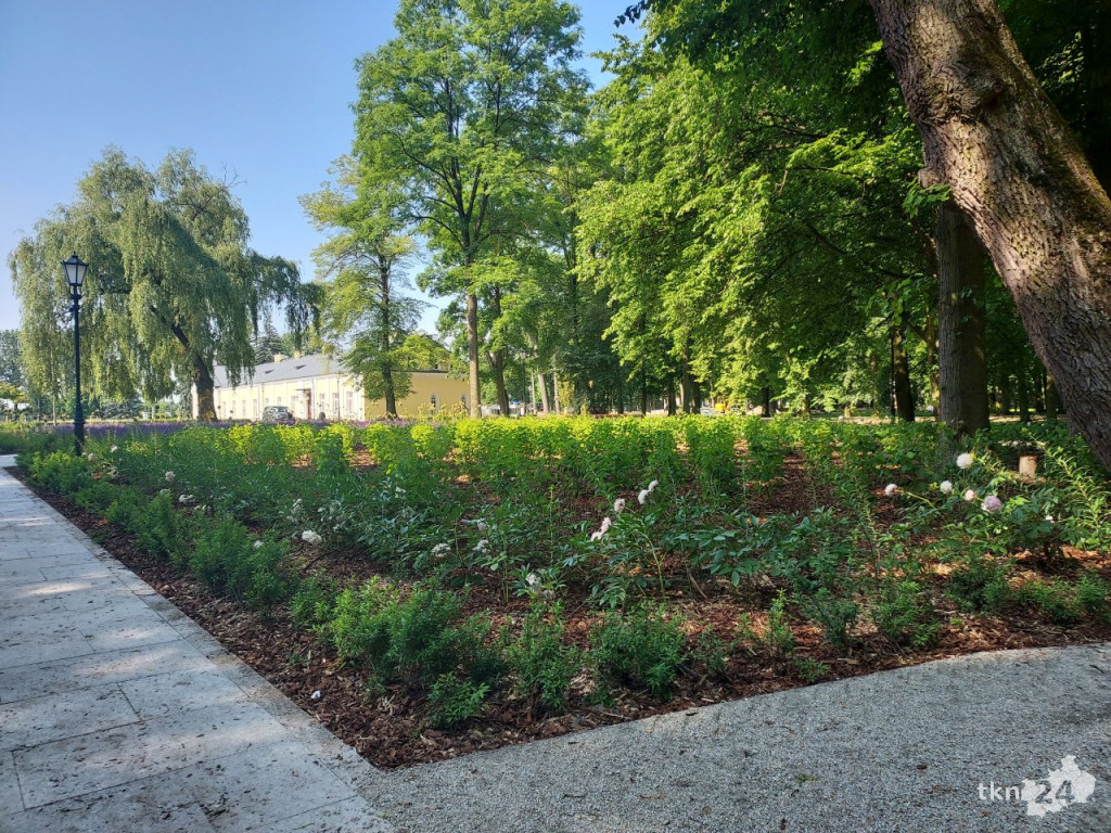 Park w Końskich pięknieje! Jest już monitoring [wideo, zdjęcia]
