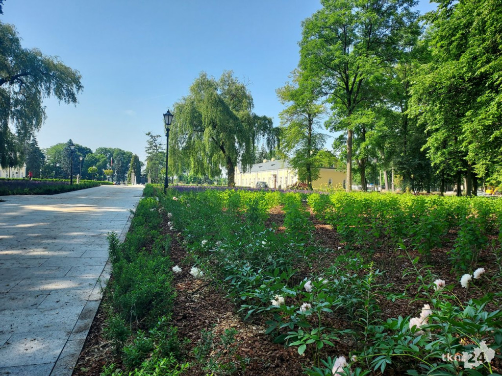 Park w Końskich pięknieje! Jest już monitoring [wideo, zdjęcia]