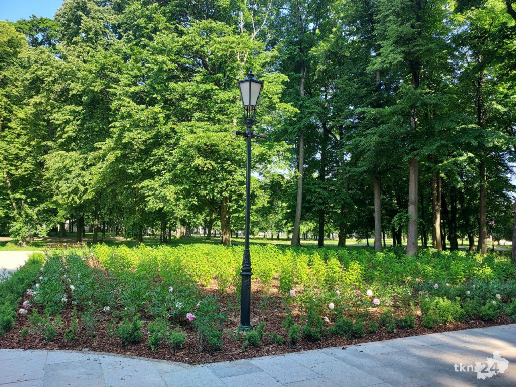 Park w Końskich pięknieje! Jest już monitoring [wideo, zdjęcia]