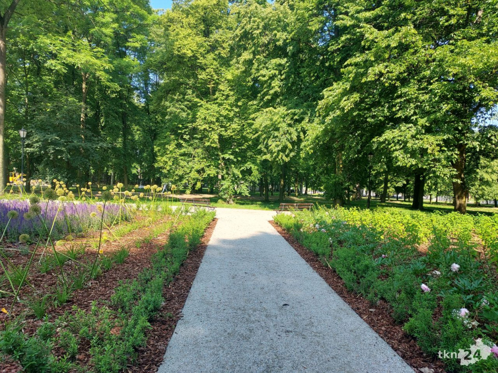 Park w Końskich pięknieje! Jest już monitoring [wideo, zdjęcia]