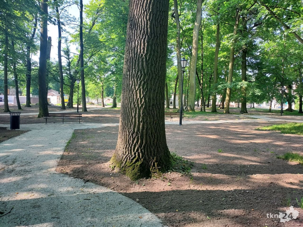 Park w Końskich pięknieje! Jest już monitoring [wideo, zdjęcia]