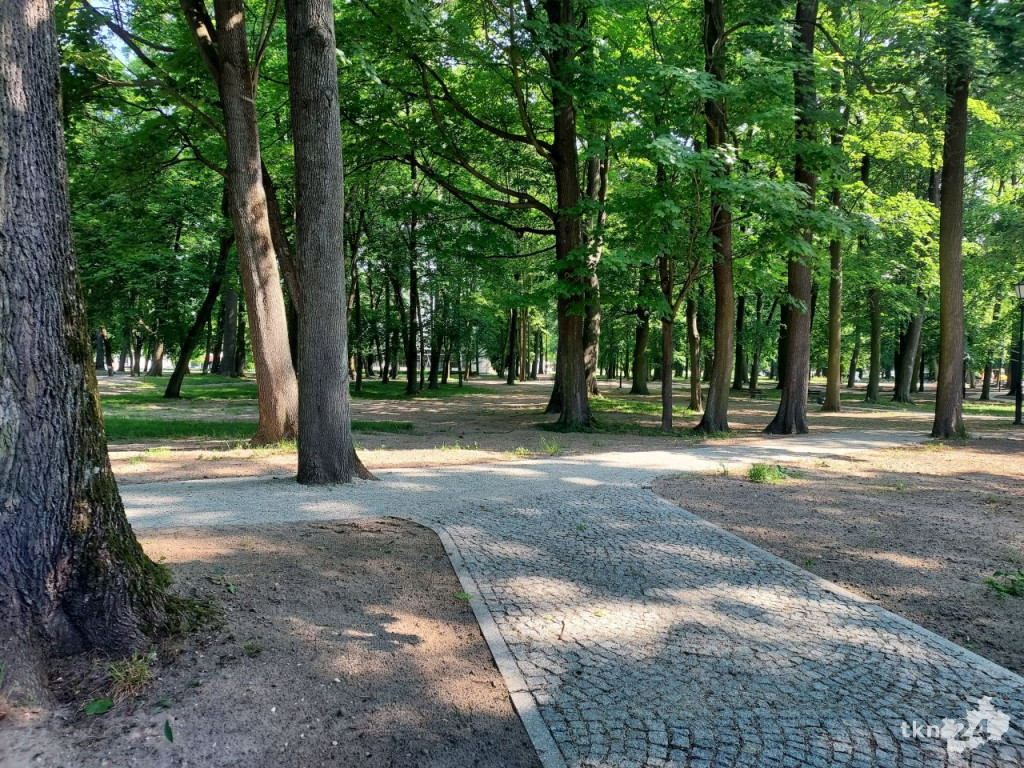 Park w Końskich pięknieje! Jest już monitoring [wideo, zdjęcia]