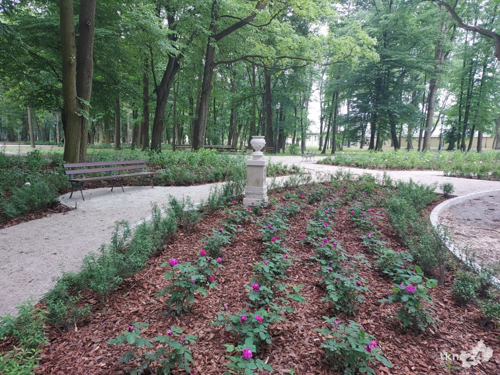 Park w Końskich pięknieje! Jest już monitoring [wideo, zdjęcia]