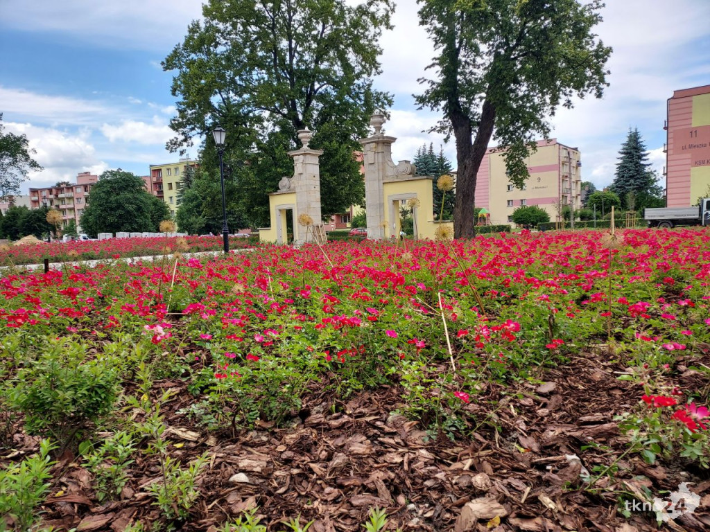 Park w Końskich pięknieje! Jest już monitoring [wideo, zdjęcia]