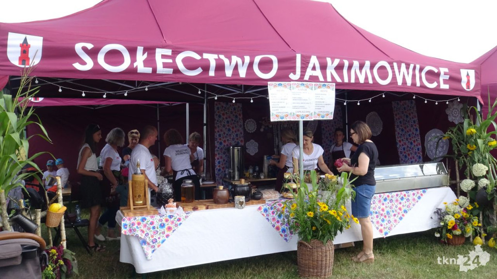 Festyn Radoszyczanie Dzieciom 2023! [wideo, zdjęcia]