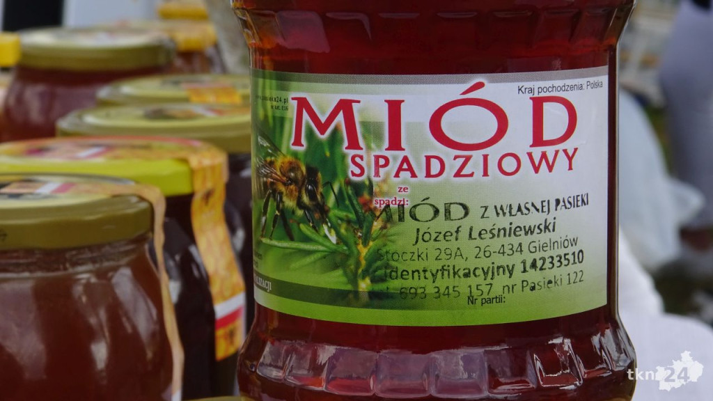 Festyn Radoszyczanie Dzieciom 2023! [wideo, zdjęcia]