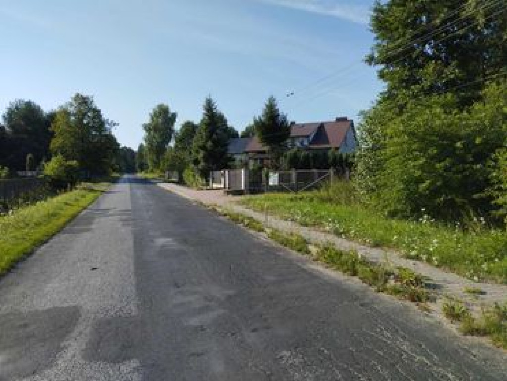 W poniedziałek samozbiory borówki w Izabelowie!