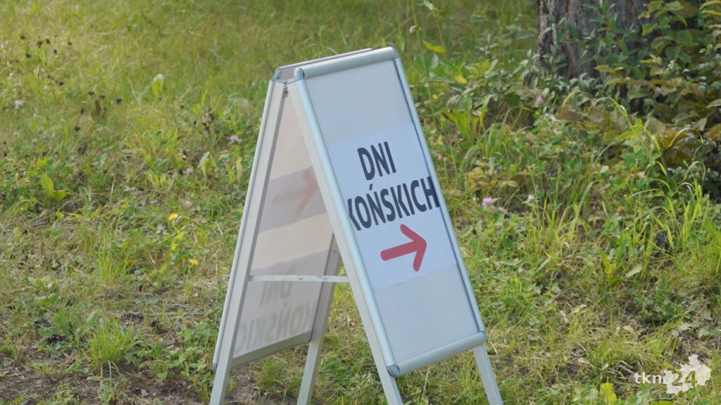 Mnóstwo sportu, pyszne jedzenie i Viki Gabor [Dni Końskich cz.2, wideo i foto]