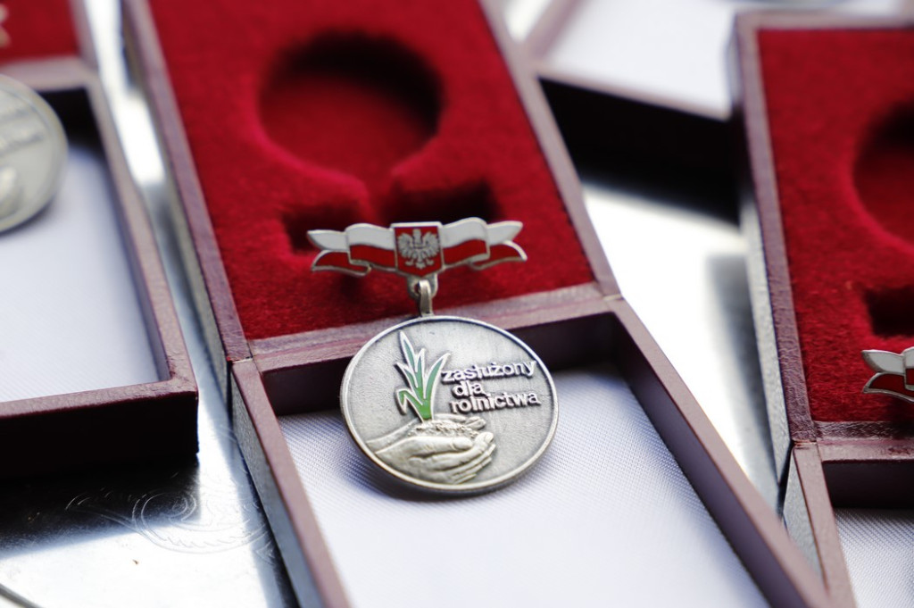 Dzień Pszczoły z medalami i odznakami [zdjęcia]