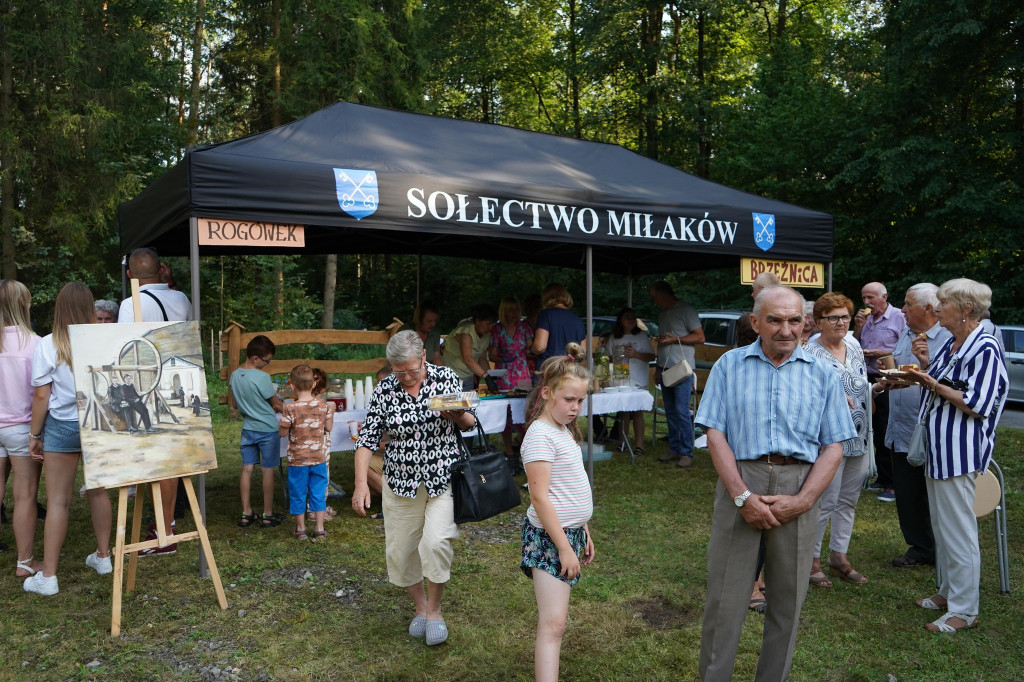 Uczcili pamięć wysiedlonych mieszkańców wsi Ludwinów [zdjęcia]