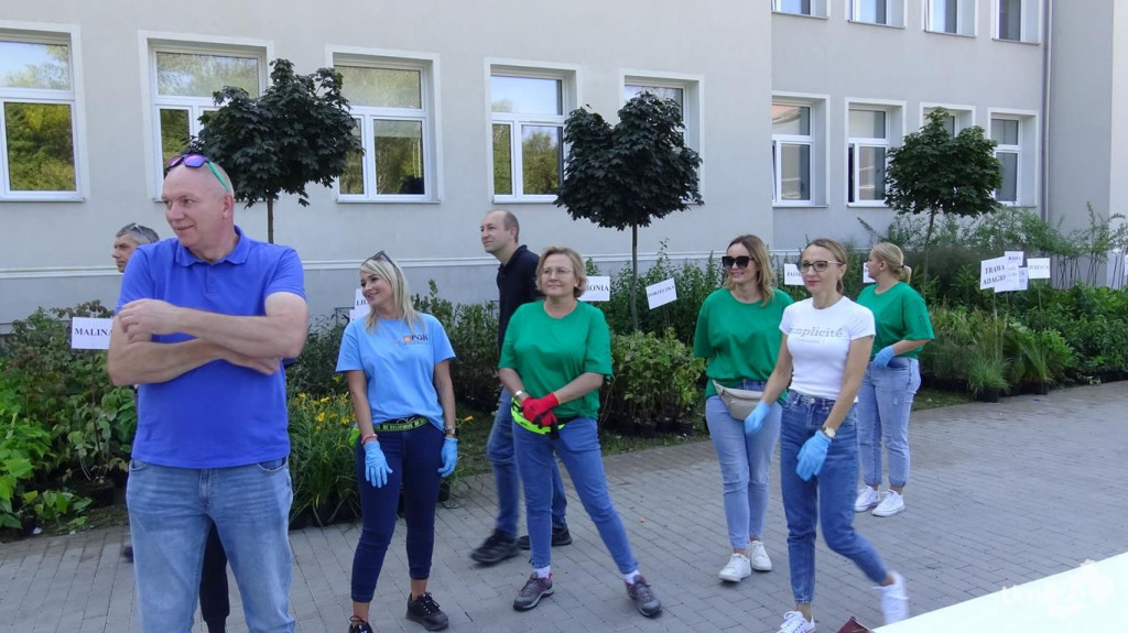 Drzewko za surowce. Ponad 6 tysięcy roślin trafiło do konecczan! [wideo, zdjęcia]