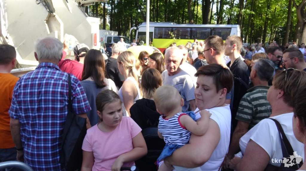 Drzewko za surowce. Ponad 6 tysięcy roślin trafiło do konecczan! [wideo, zdjęcia]