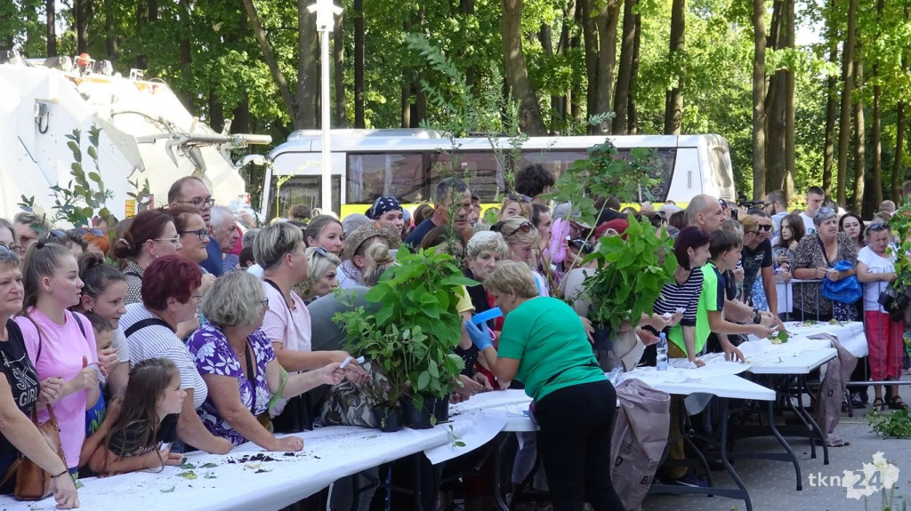 Drzewko za surowce. Ponad 6 tysięcy roślin trafiło do konecczan! [wideo, zdjęcia]