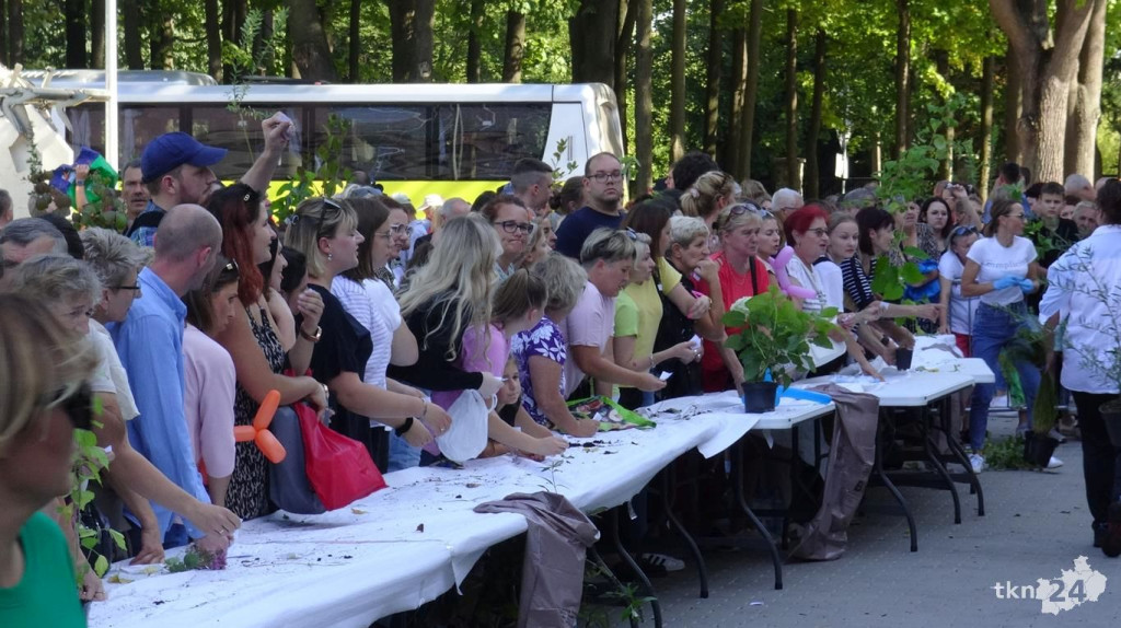 Drzewko za surowce. Ponad 6 tysięcy roślin trafiło do konecczan! [wideo, zdjęcia]