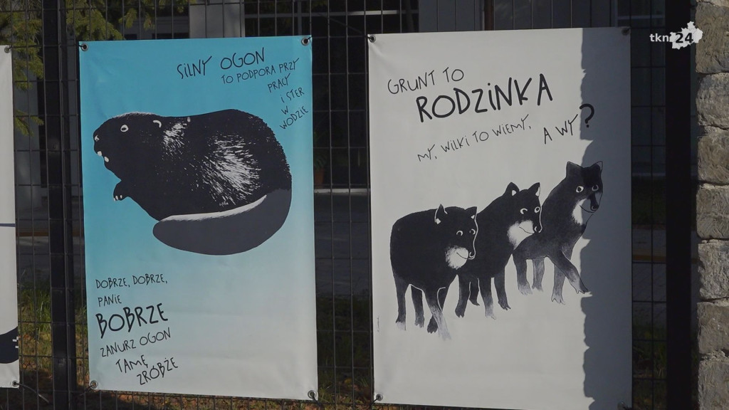 Plakaty Danuty Żukowskiej zawisły na ogrodzenie KCK-u [wideo, zdjęcia]