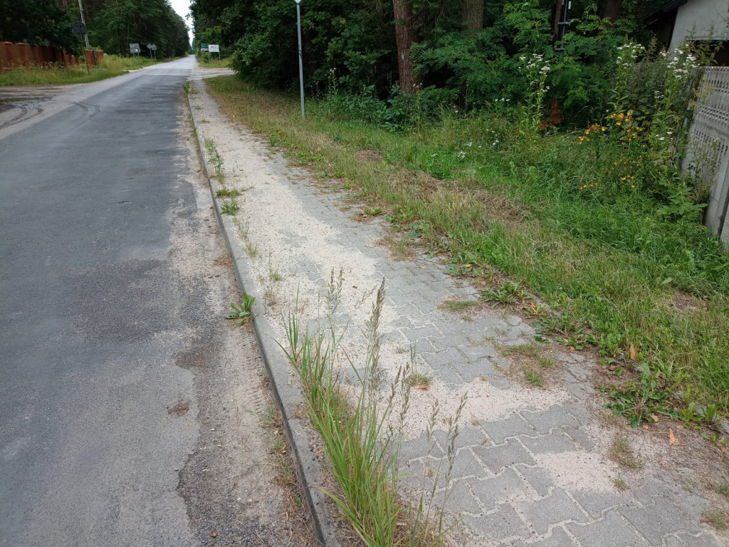 AKTUALIZACJA: Zarośnięty chodnik na Browarnej. Mieszkańcy proszą o wsparcie [zdjęcia]