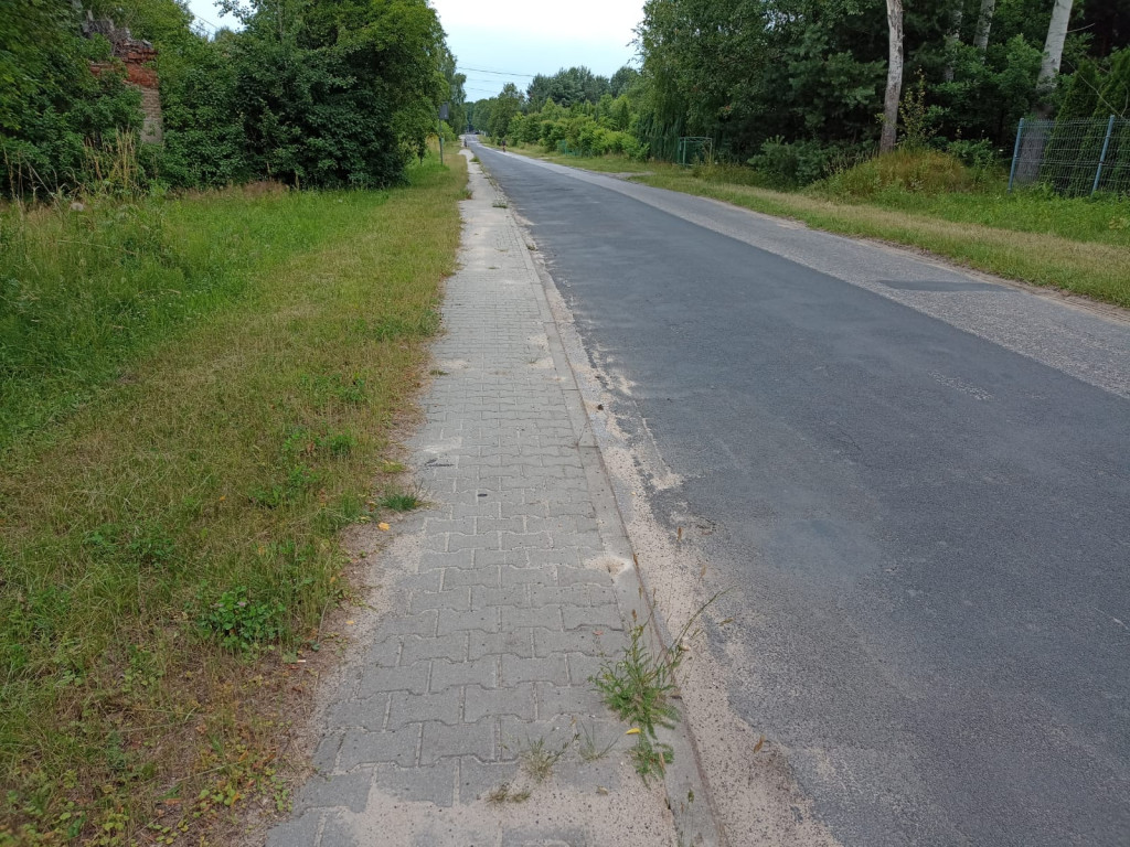 AKTUALIZACJA: Zarośnięty chodnik na Browarnej. Mieszkańcy proszą o wsparcie [zdjęcia]