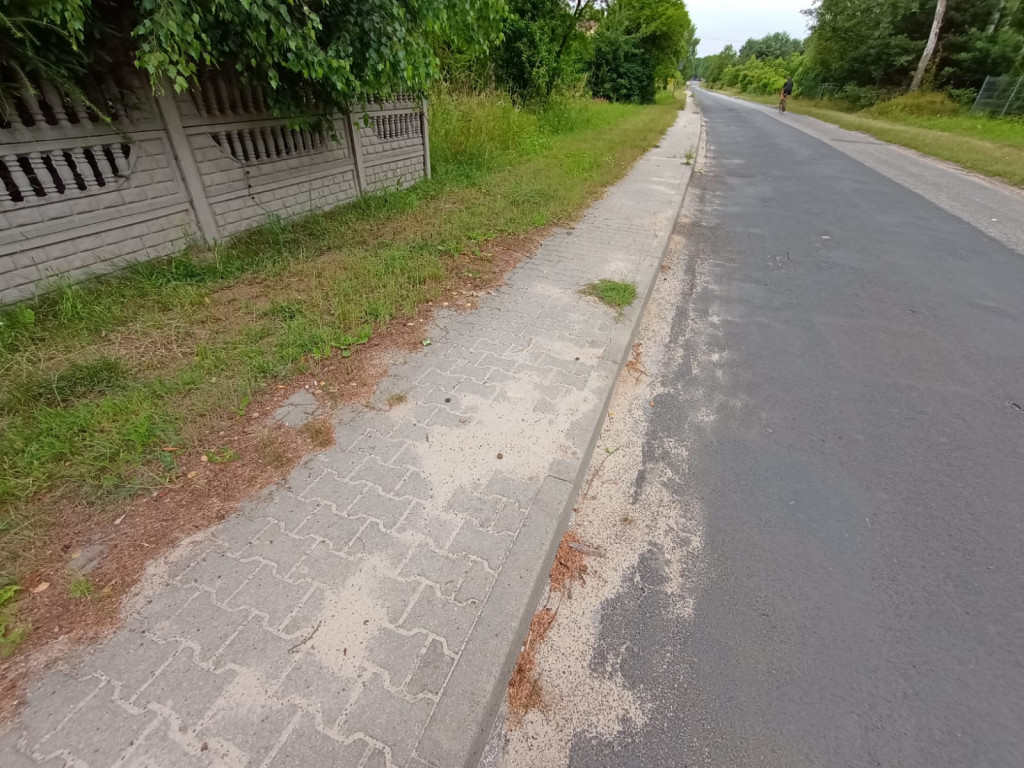AKTUALIZACJA: Zarośnięty chodnik na Browarnej. Mieszkańcy proszą o wsparcie [zdjęcia]