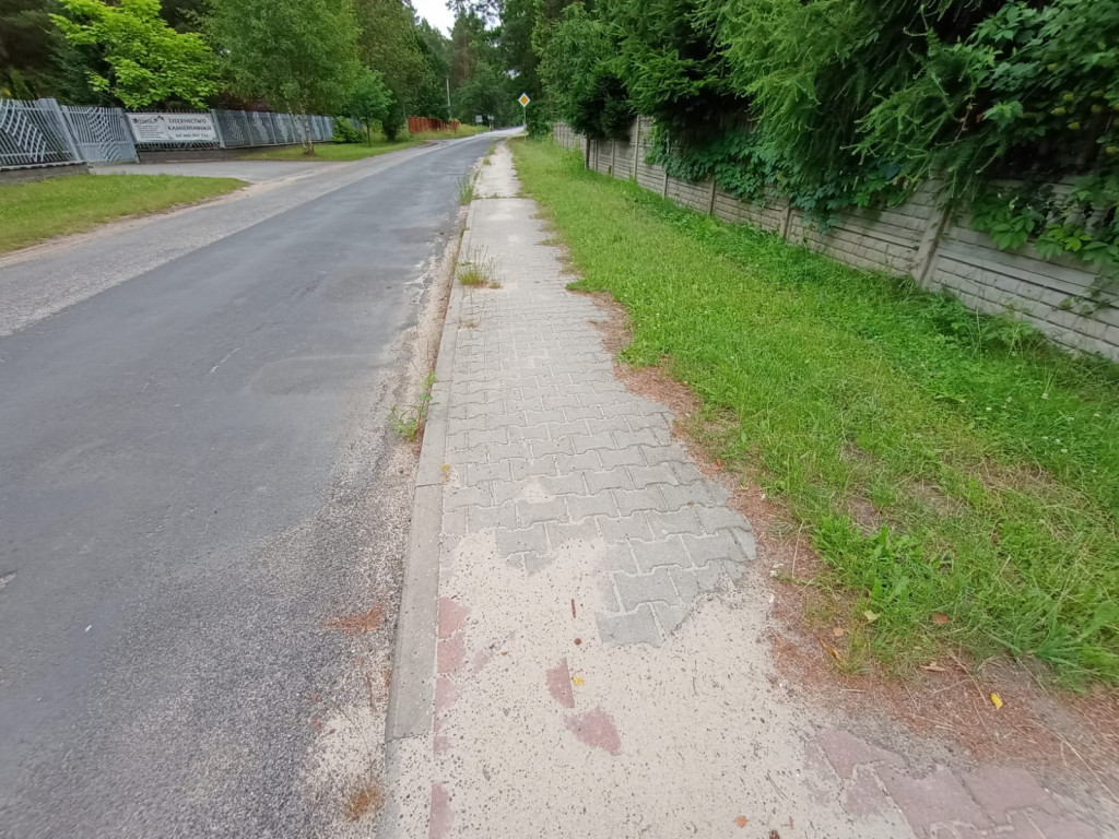 AKTUALIZACJA: Zarośnięty chodnik na Browarnej. Mieszkańcy proszą o wsparcie [zdjęcia]