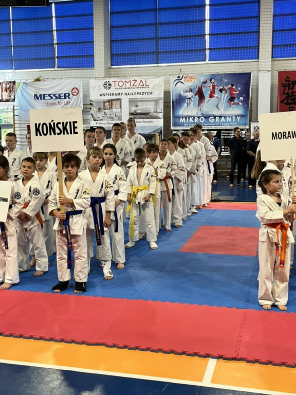 Dziesięć medali koneckich karateków w Katowicach [zdjęcia]
