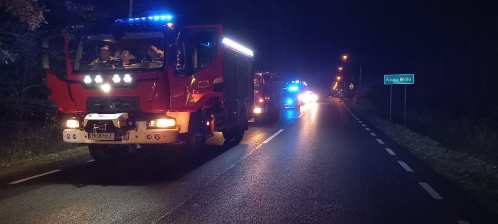 Trzy auta zderzyły się w Koziej Woli. Dwie osoby w szpitalu [zdjęcia]